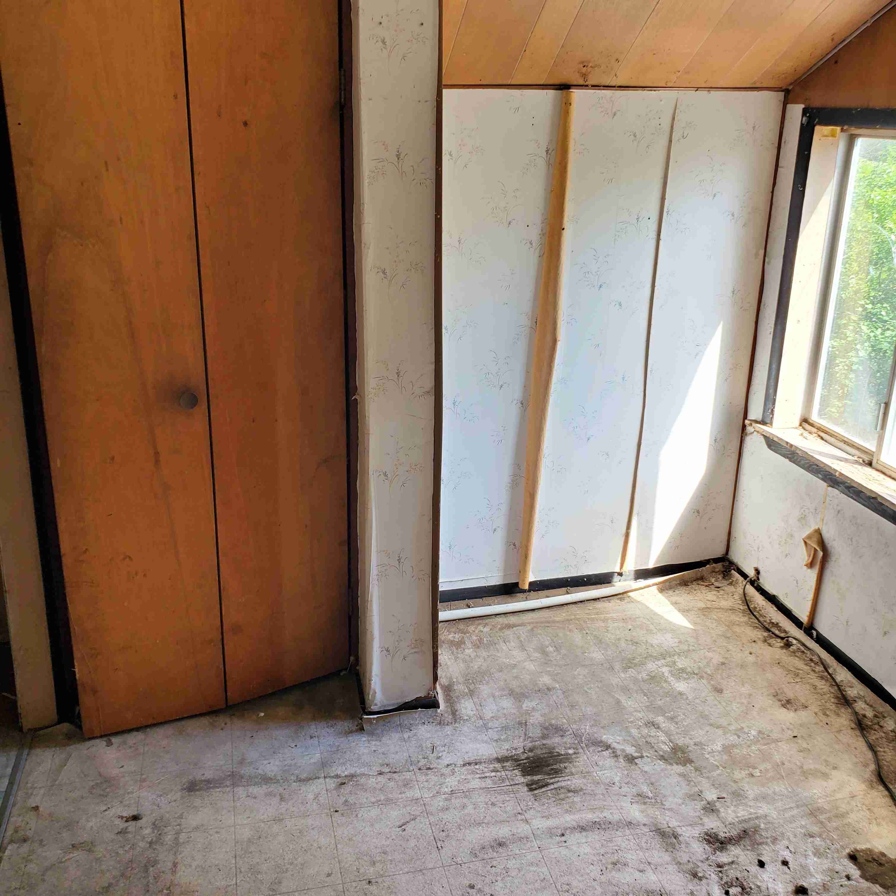 20200812_152549 (2).jpg